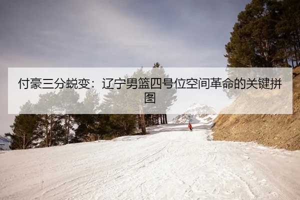 fu-hao-san-fen-tui-bian-liao-ning-nan-lan-si-hao-wei-kong-jian-ge-ming-de-guan-jian-pin-tu-2-456.jpg